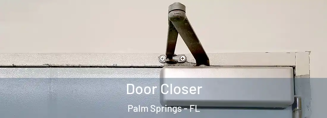  Door Closer Palm Springs - FL