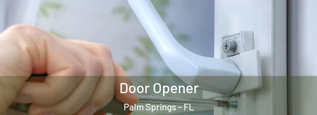 Door Opener Palm Springs - FL