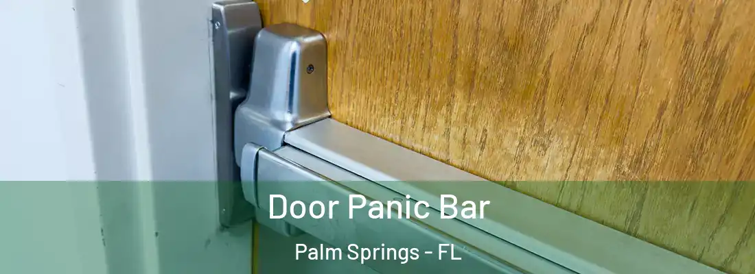 Door Panic Bar Palm Springs - FL
