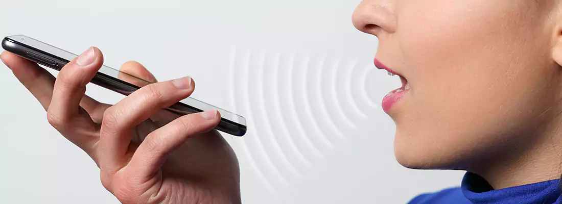 Residential and Commercial Voice Recognition Access Solutions in Palm Springs, FL