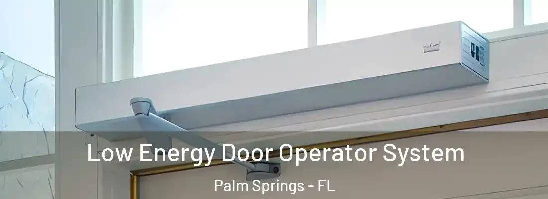  Low Energy Door Operator System Palm Springs - FL