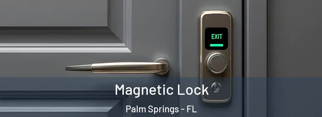 Magnetic Lock Palm Springs - FL